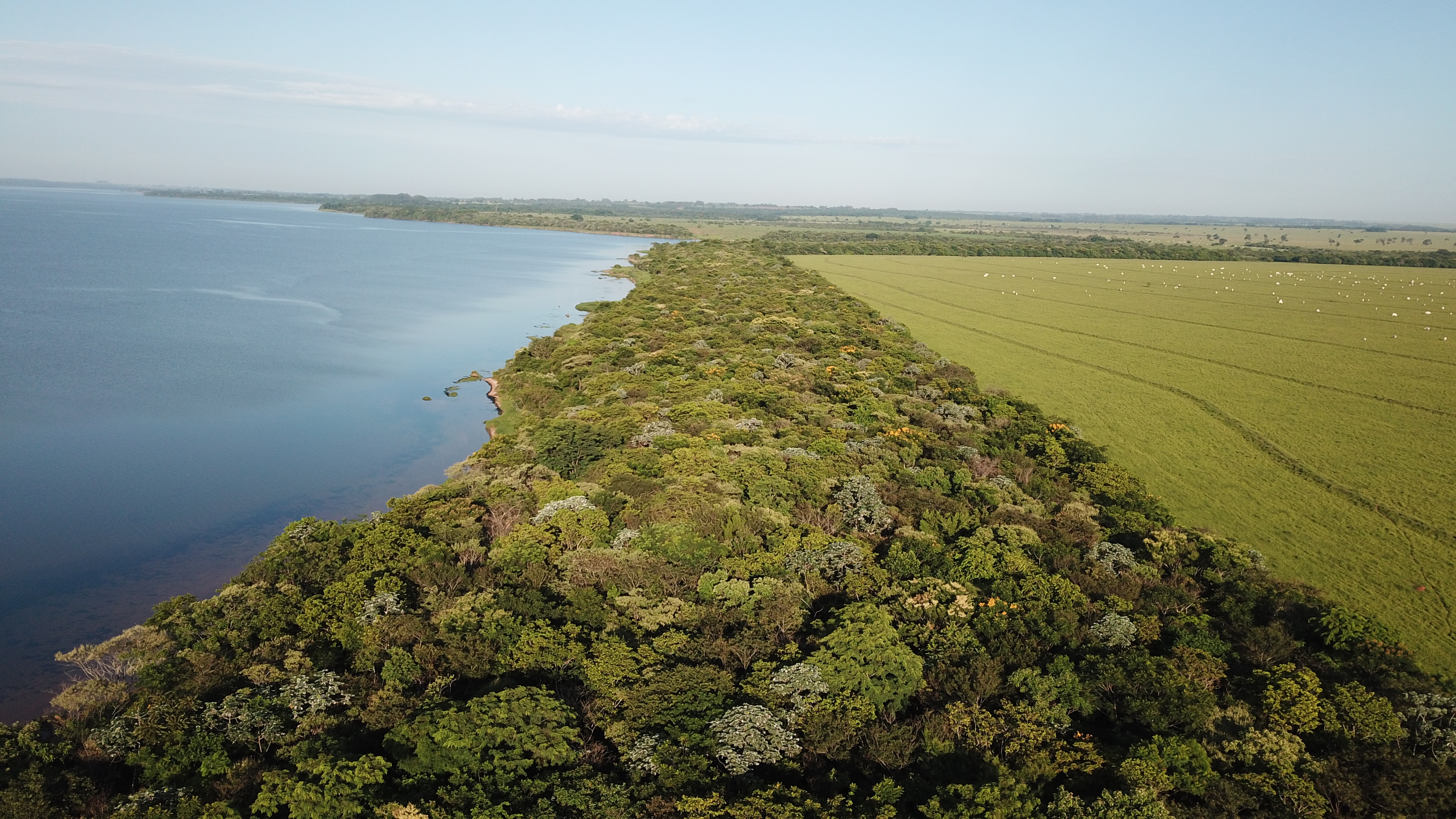 cullen_ipe_offset_corridors_brazil-2.jpg cullen_ipe_offset_corridors_brazil-2.jpg