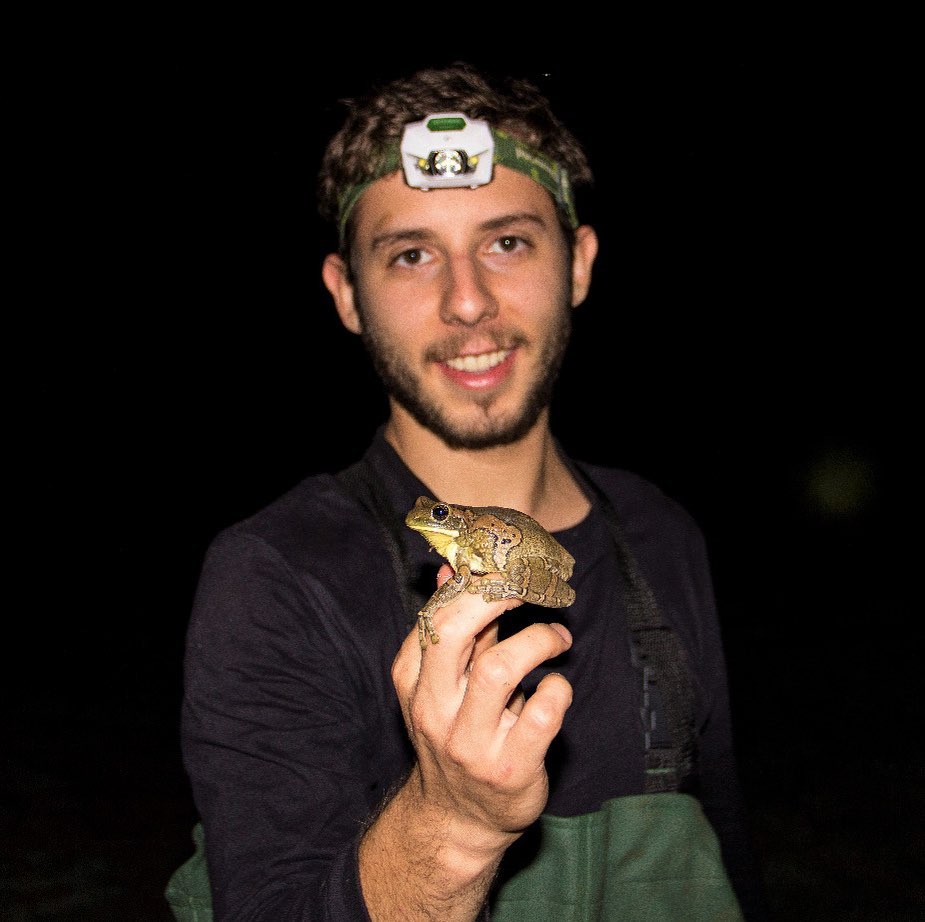 Gabriel Jorgewich Cohen 