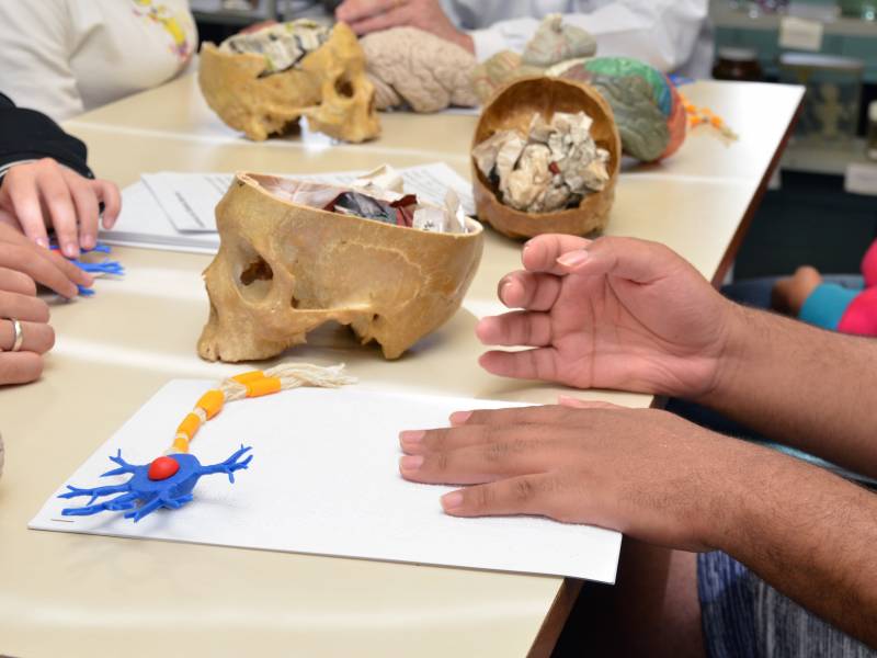 Português: Sala de aula de Anatomia, no Instituto de Artes da